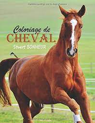 coloriage de cheval 35 dessins realistes chevaux a colorier pour adultes et enfants anti stress magique french edition bonheur stuart 9781710172041 amazon com books poing