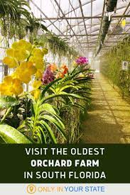 Visit The Stunning R F Orchids The Oldest Most Prestigious Orchid Farm In South Florida Adventure Getaway Florida Travel Florida