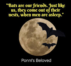 Literature video games web original web video … Bats Are Our Friends Just Like Us They Come Picture Quotes 1341 Allauthor