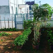Rumah kebun mandiri pangan tidak menempel dengan rumah tetangganya agar udara mudah mengalir. Buat Taman Mini Tepi Rumah Nampak Lagi Kemas Bila Buat Begini Keluarga
