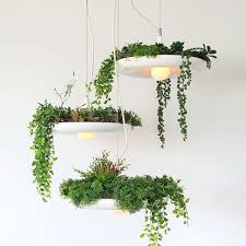 Home Bf Hanging Garden Plant Lighting Plants