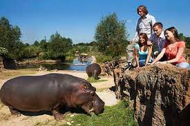 So, a walk through hellabrunn zoo is like a journey through forests in different parts of the world. Gelsenkirchen Zoom Erlebniswelt Entrance Ticket 2021 Dortmund