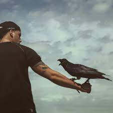 Und ich spüre zwar die folgen. Facebook