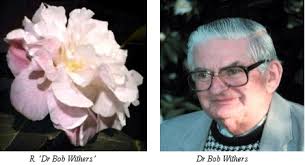 Dr Robert (Bob) M. Withers, OA