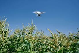 Dji Uav For Agirculture In 2020 Dji Dji Drone Agriculture