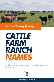 389 Best Cattle Farm Ranch Names Thebrandboy Com In 2020 Cattle Farming Ranch Names Farm Name