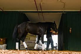 Here are some of the biggest kitchen. Horse Racing S Integrity Faces Another Test The New York Times