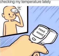 #420 #4/20 #me an intellectual #420 memes #420 meme. 4 20 All Month Memes To Celebrate April 2020 Hilarious Memes Inside