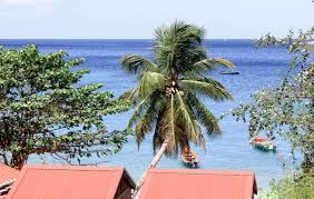 That island is really worth visiting. Martinique En Famille Recit De Voyage D Une Maman