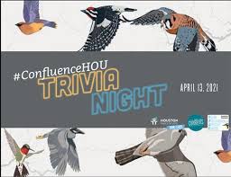 Play at a fun sporcle quiz night . Event Calendar Houston Audubon Confluence Trivia Night