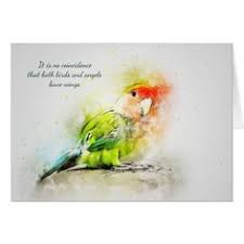 Personalize it with photos & text or purchase as is! 27 Lovebirds Ideas In 2021 Pet Birds Cute Birds Beautiful Birds