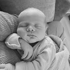 Two handsome devil's 🐱 #Louie #Gomez #Kittens #BlackCat #OrangeCat