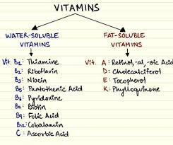Vitamins Holistic Health Nutrition School Nutrition Vitamins