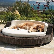 Outdoor Wicker Pet Bed Frontgate Outdoor Pet Bed Designer Dog Beds Pets