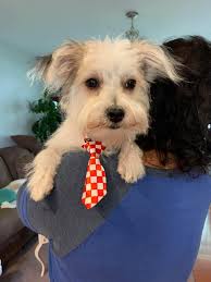 At what age is it safe to take children