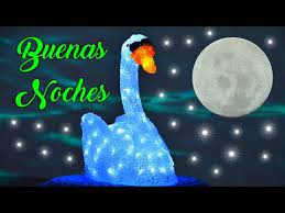Buenas Noches Abrelo Hasta Manana Para Ti El Mensaje Mas Bonito Para Dedicar Youtube Buenas Noches Bendiciones Buenas Noches Videos Buenas Noches