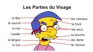Le Visage Partes Del Cuerpo Unas Francesas Cuerpo