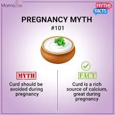 Bitlife How To Get Rich Pin On Pregnancy