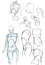 This group will support display art and anatomies of all types of styles to help all artist to be well. Torso Reference Arte De Anatomia Humana Arte De Anatomia Dibujos Figura Humana