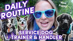 HeartDog Holiday Countdown Day 1