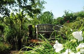 Am beispiels des heimgartenbund altona e.v. Landesbund Der Gartenfreunde In Hamburg E V Kleingarten Hamburg Ohlsdorf Hamburg De