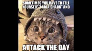 Funny Animal Memes Of The Day 30 Pics Ep14 Animals Animalmemes Memes Memesdaily Memesfunny Lol Funny Dog Memes Clean Cat And Dog Memes Funny Dog Memes