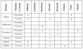 Place Manner Voicing Chart The Ipa Consonants Part I