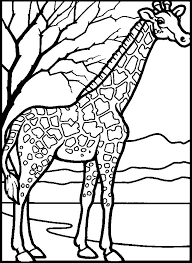 Ausmalbilder Gratis Giraffe Https Www Ausmalbilder Co Ausmalbilder Gratis Giraffe Giraffe Coloring Pages Animal Coloring Pages Giraffe Colors