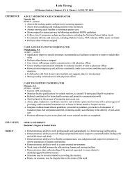 coordinator care resume samples