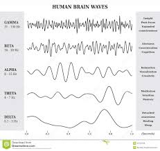 Human Brain Waves Diagram Chart Illustration Stock