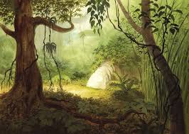 Backgrounds From Disney S The Jungle Book 1967 Pic Twitter Com Aubvt8cwwr Jungle Drawing Jungle Illustration Jungle Art