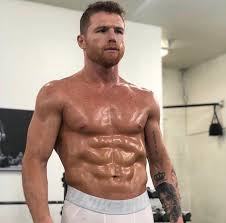 Гвадалахара, халиско, мексика сантос сауль альварес барраган (исп. Saul Canelo Alvarez Nattyorjuice