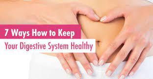 7 Ways How To Keep Your Digestive System Healthy - Life Infused