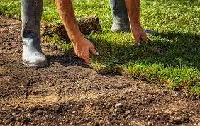 Maybe you would like to learn more about one of these? Potong Rumput Seremban Aiman Lawn Care