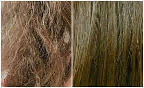 divine no 7 beauty the top 10 secrets to recover hair from a night out recover hair hair beauty