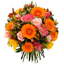 Des félicitations, hommages ou remerciements à faire parvenir? Bouquet Cocktail Un Petillant Bouquet D Automne A L Esprit Espiegle Et Gai Flowers Autumnflowers Bouqu Livraison Fleurs Fleurs Automne Bouquet De Fleurs