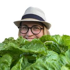 How to Dry Basil: 3 Best Methods, Tested and Explained