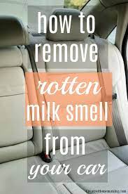 How To Get Rotten Milk Smell Out Of The Car - Creative Homemaking