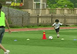 Find everything from funny gifs, reaction gifs, unique gifs and more. í† ë¡ ê³µê°„ ì´ê°•ì¸ ìŠ›ëŒì´ ì‹œì ˆ