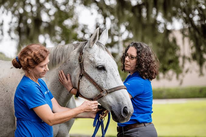 Animal Health