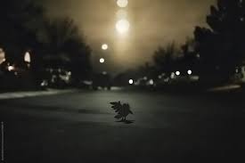 You know, i'm in a gig and play out all my sort of fantasy. Blackbird Singing In The Dead Of Night By Rachel Bellinsky Stocksy United