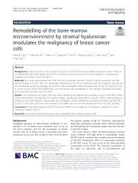 Bone marrow tests are used to diagnose and monitor bone marrow diseases, blood disorders, and certain types of cancer. Pdf Remodelling Of The Bone Marrow Microenvironment By Stromal Hyaluronan Modulates The Malignancy Of Breast Cancer Cells