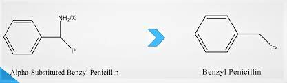 Sar Of Penicillin Penicillin Easy Work Positivity