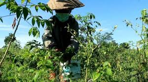 Dan mereka juga lebih mudah di hasut. Https Bali Tribunnews Com 2021 05 10 30 Persen Desa Di Wilayah Karangasem Berpotensi Kesulitan Air Bersih Saat Musim Kemarau Melanda Https Cdn 2 Tstatic Net Bali Foto Bank Images Kekeringan Di Karangasem 20150731 090029 Jpg Ilustrasi Warga
