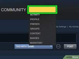 11:54am on sep 01, 2019. How To Add Friends On Steam 13 Steps With Pictures Wikihow