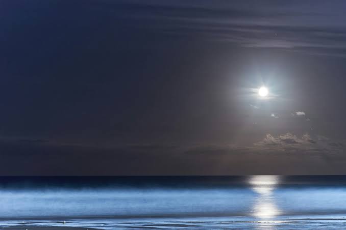 A body of water with the moon in the sky above it photo – Free Grey Image on  Unsplash