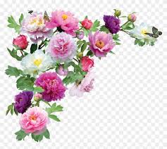 Find Hd Bouquet Of Flowers Png Image Transparent Flower Png Images Hd Png Download To Search And Downl Flower Png Images Transparent Flowers Rose Flower Hd