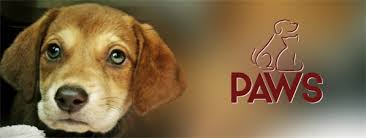 Maybe you would like to learn more about one of these? Paws Animal Adoption Center Community Charitable Animal Care Service