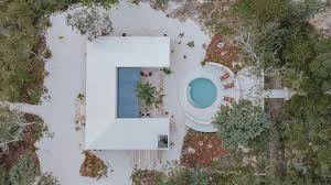 Image result for Galopina