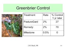 Guriqbal singh*, harpreet kaur virk and poonam sharma. Newer Weed Management Tools In Grazed Pastures Ppt Video Online Download